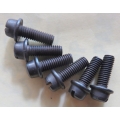 Fuel Pump Screws - hold valve housing to pump body, AC, Goss, Carter, Holley, others (900.10-32S) 